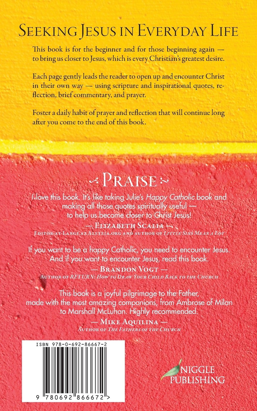 Seeking Jesus in Everyday Life Prayers and Reflections for Seeking Jesus in Everyday Life Prayers and Reflections for Getting Closer Julie Davis Amazon Books