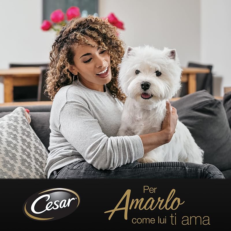 Junior Cibo Umido per Cani Cuccioli con Tenero Tacchino e Vitello, 14 Vaschette da 150 g, Totale 2.100g