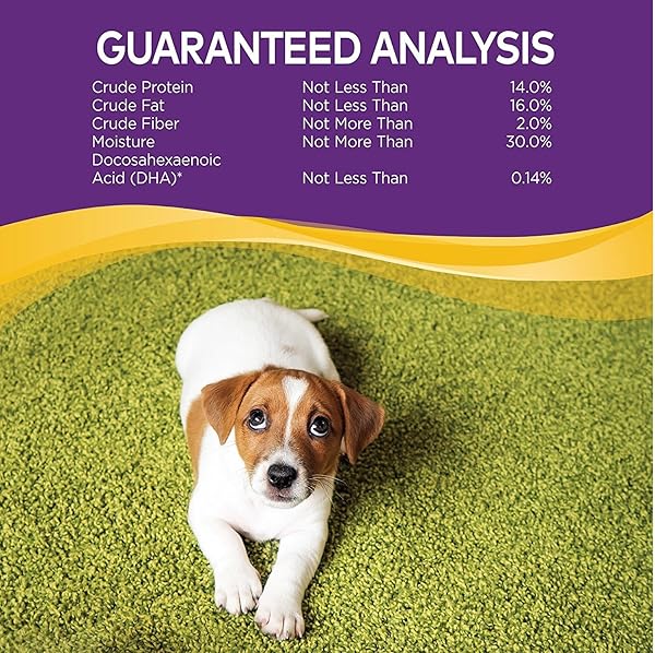 WELLNESS PUPPY BITES NATURAL GRAIN FREE PUPPY TRAINING TREATS, VARIETY