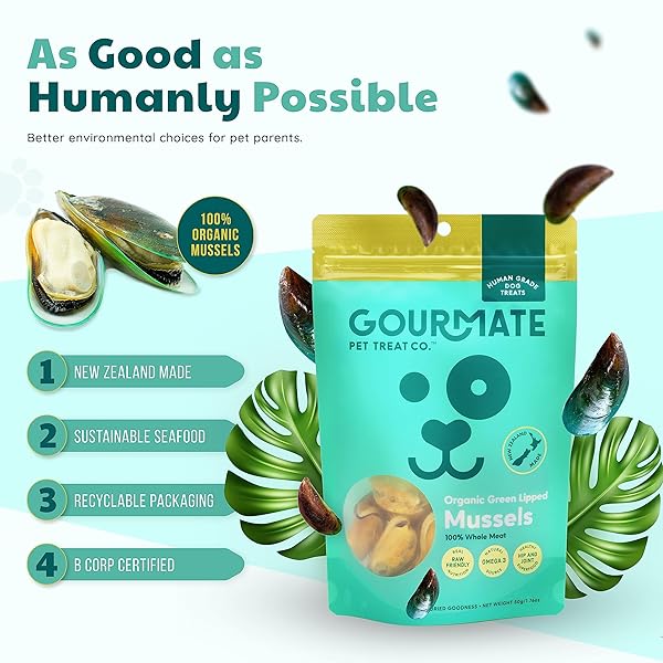 GOURMATE PET TREAT CO. GREEN LIPPED MUSSELS FOR DOGS – HUMAN GRADE DOG TREATS – 100% NATURAL, FREEZE DRIED SNACK WITH OMEGA-3, GLUCOSAMINE & CHONDROITIN FOR HEALTHY COAT & JOINT SUPPORT – 50G/1.76OZ