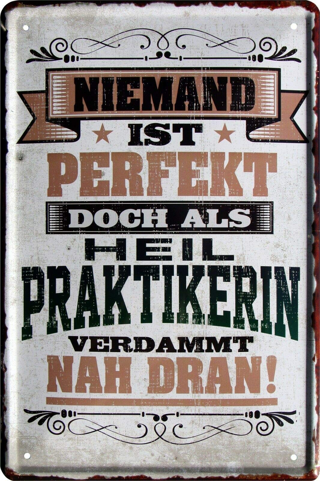 Nobody is perfect, but as a healing practitioner 20 x 30 cm tin sign 2156