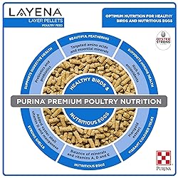 Purina, Layena Pellets, Chicken Feed for Laying