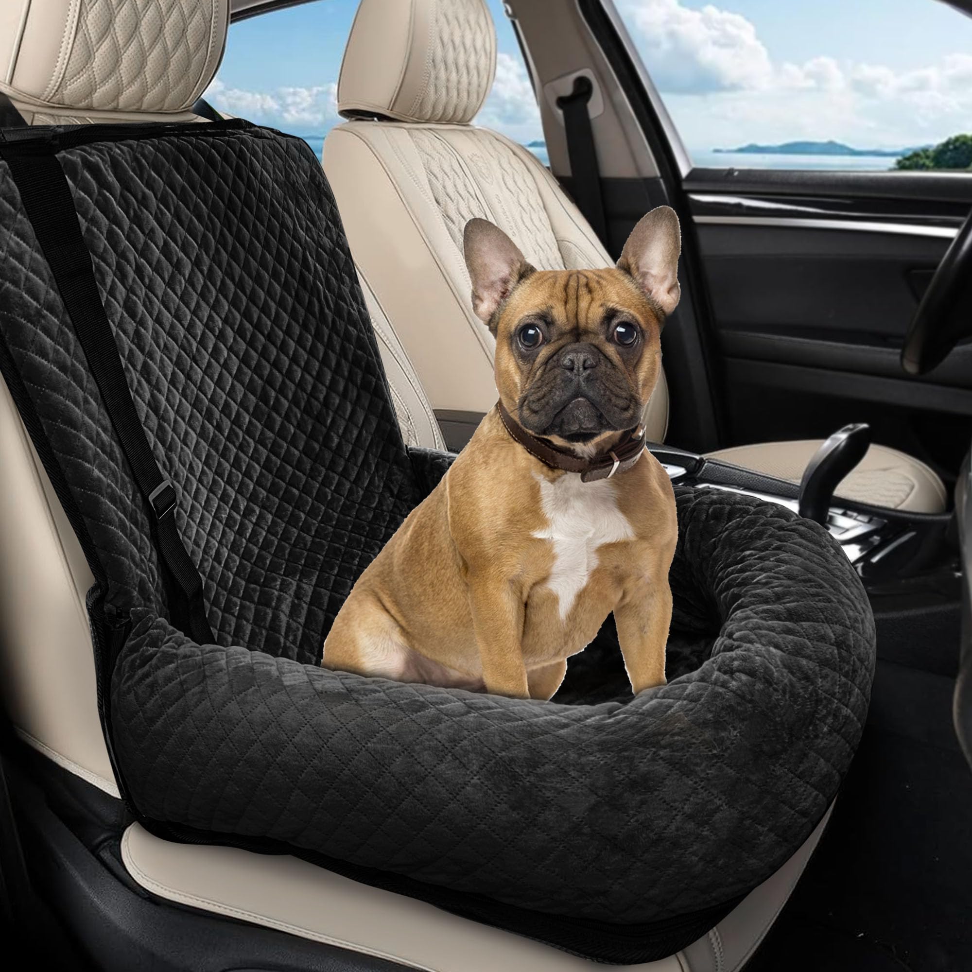 Photo 1 of Sephyroth Dog Car Seat for Small/Medium Dogs,Dog Car Bed Washable Pet Travel Safety Car Seat,Super Soft Safe Removable Pet Booster Seat,Fits for All Cars(Black)