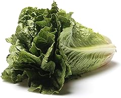 Organic Romaine Lettuce, 1 Each