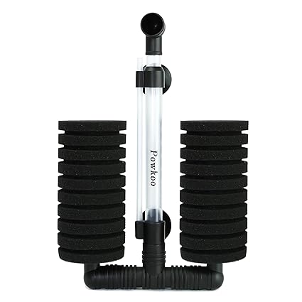 817jmsS4awL._SX425_.jpg