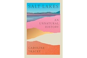 Salt Lakes: An Unnatural History