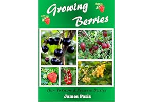 Growing Berries - How To Grow & Preserve Berries: Strawberries, Raspberries, Blackberries, Blueberries, Gooseberries, Redcurr