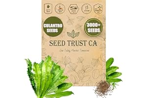 SEED TRUST CA SeedTrust CA Premium Culantro Seeds for Planting – 3000+ Herb Seeds – Non-GMO Heirloom, Original Flavor, Easy to Grow – USA (Culantro)