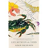 Life Between the Tides