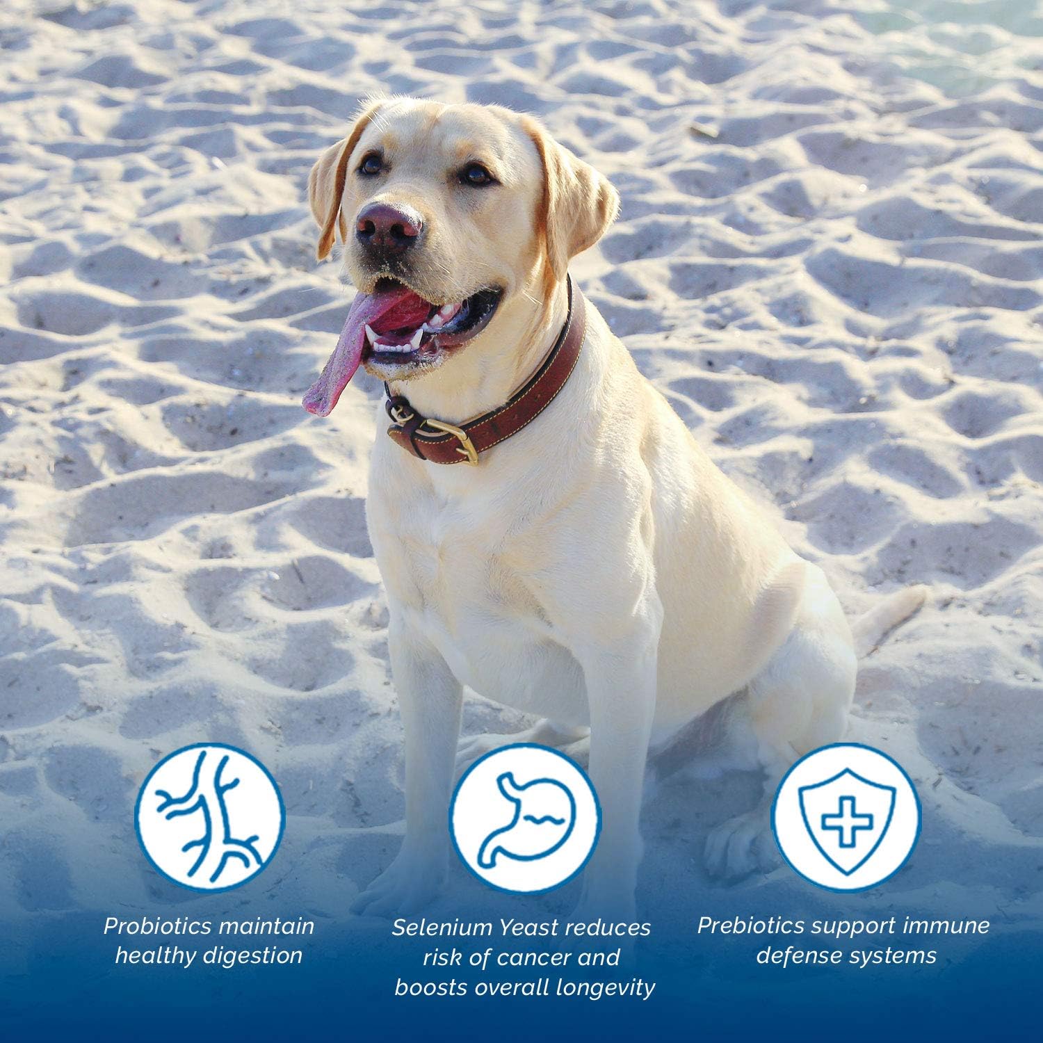 nature's select high protein dog food