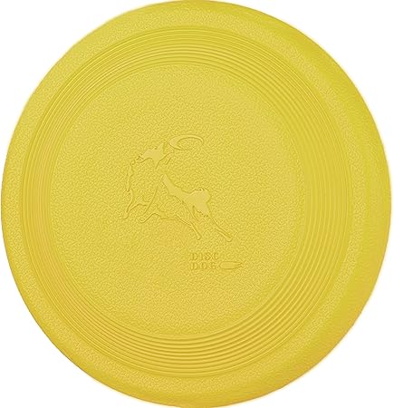 kong frisbee amazon