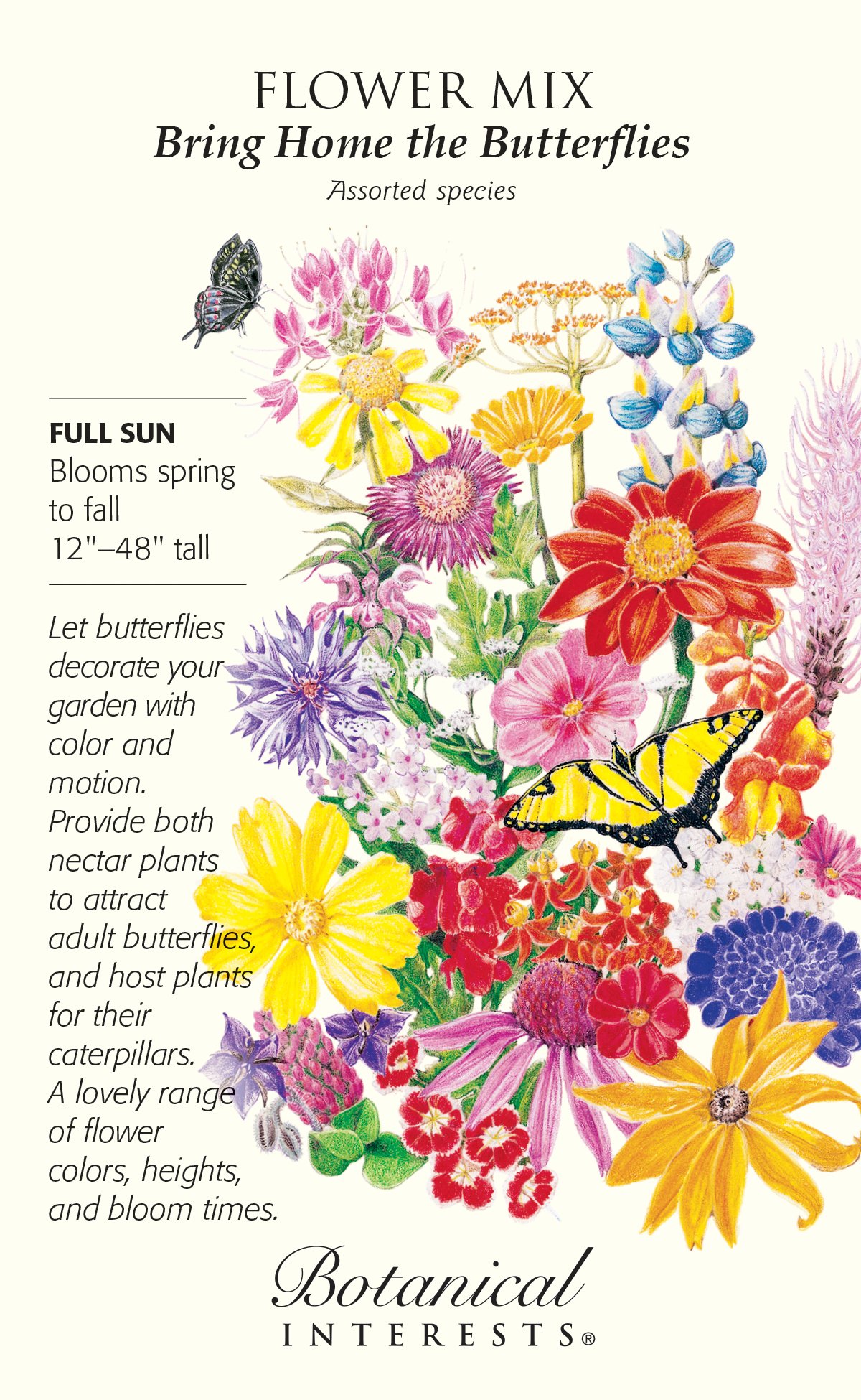 Fairy Meadow Flower Seed Mix 14 Grams Flowering Plants