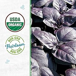 Back to the Roots 100% Organic Seed Packet - Basil