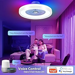 KAMLAM 24" Low Profile Ceiling Fan with
