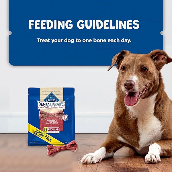 BLUE BUFFALO DENTAL BONES REGULAR NATURAL DENTAL CHEW DOG TREATS BAG VALUE PACK