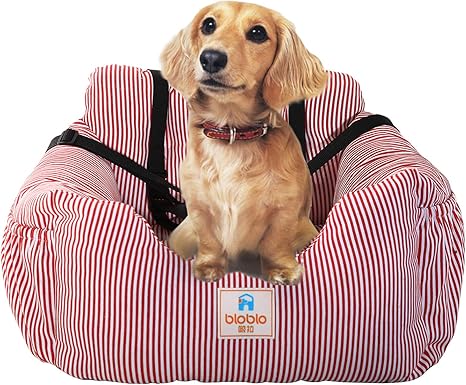 amazon siege auto chien