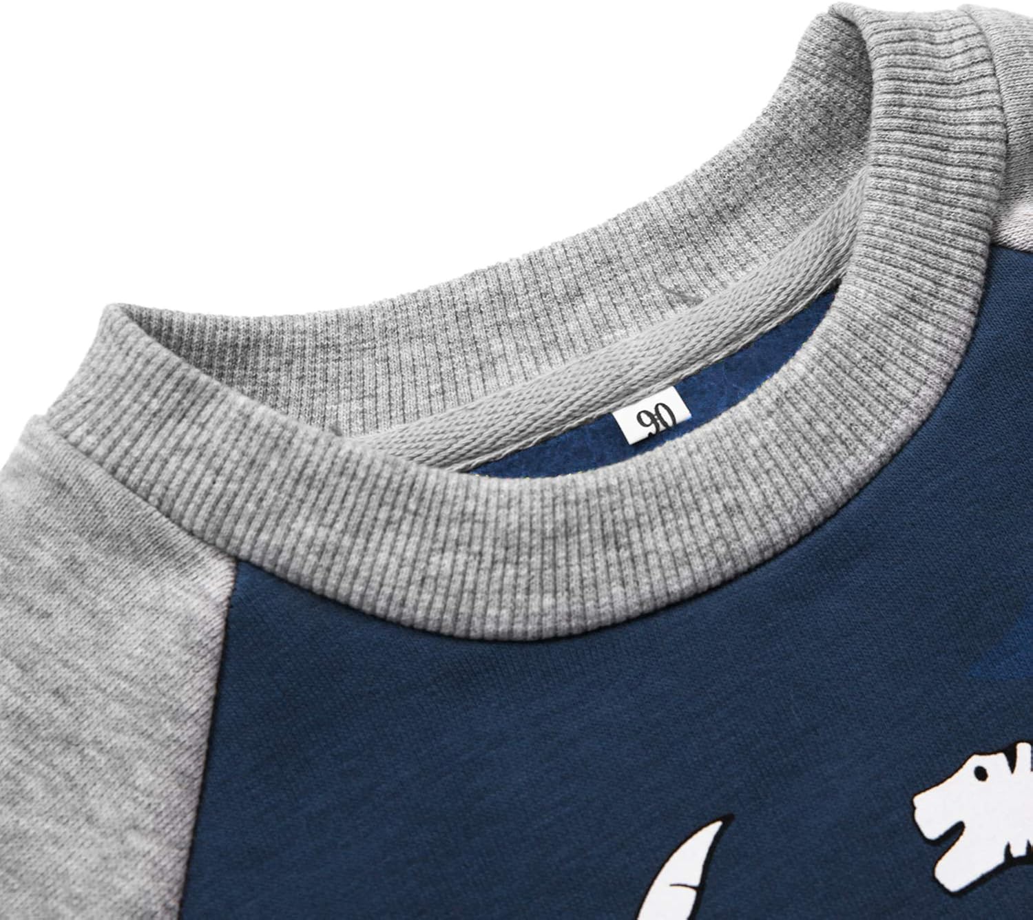 Toddler Boys Dinosaur Sweatshirts Cartoon Winter Long Sleeve Kids Sport Outdoor Pullover Tops Tees 2T-8T: Clothing