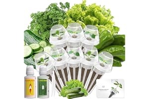 LYKOCLEAN 8 Pods Vegetable Salad Green Seed Pod Kit for Aerogarden, Ahopegarden Hydroponics Growing System Indoor Garden, Include American Fast Lettuce, Green Pepper, Cucumber, Parsley, 8 Pods, 500+ Seeds