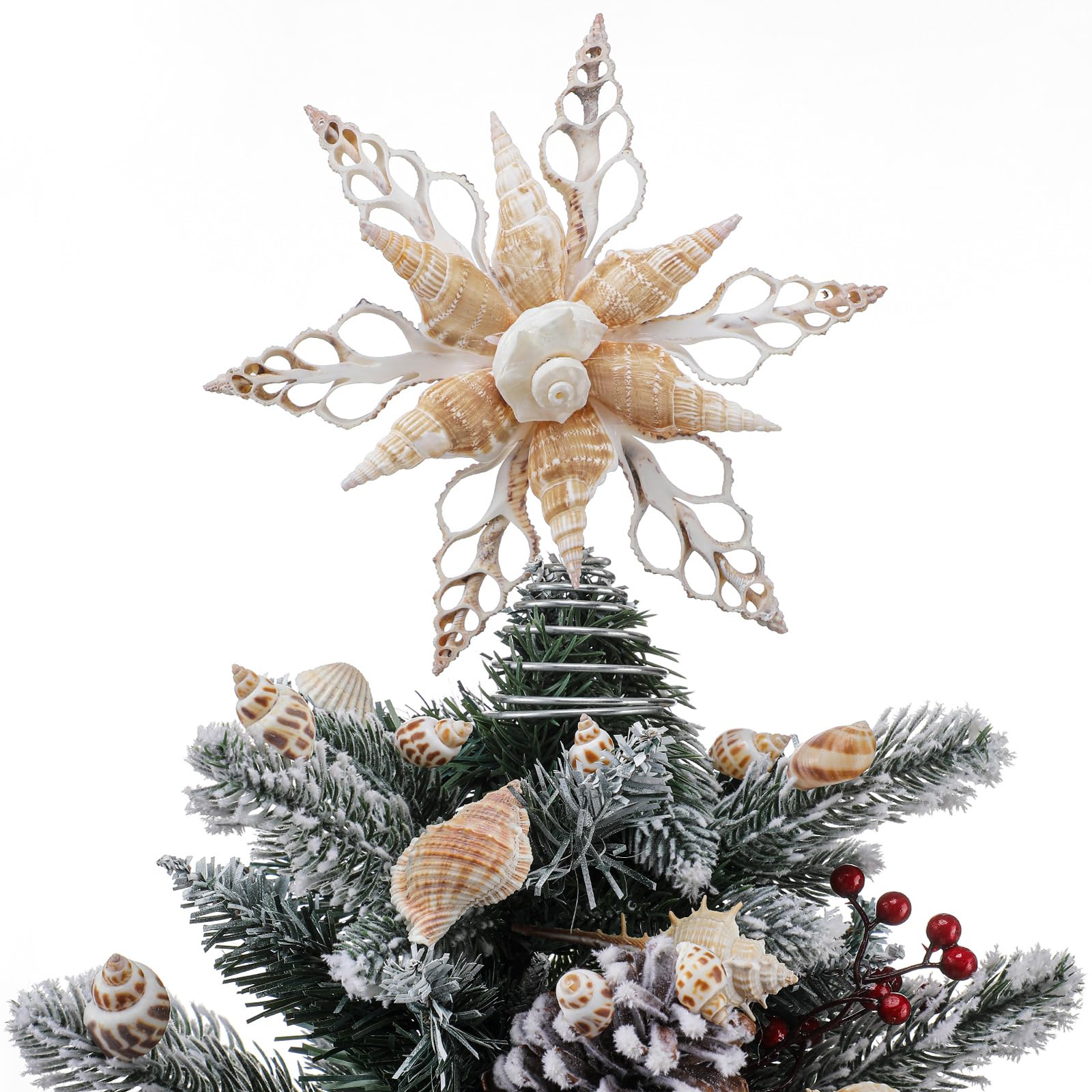 Photo 1 of (used)(damaged) Demissle 8 Inch Natural Conch Tree Topper Beach Christmas Tree Topper Conch Star Flower Coastal Treetop Decoration Christmas