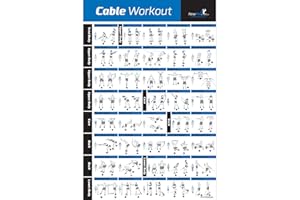 NewMe Fitness Workout Posters for Home Gym - Exercise Posters for Full Body Workout - Core, Abs, Legs, Glutes & Upper Body Training Program