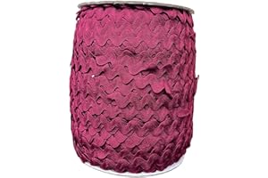 AUNHIRU Multiple Colors Available Rick Rack Trim for Crafting and Sewing, 10yards (Azaled)