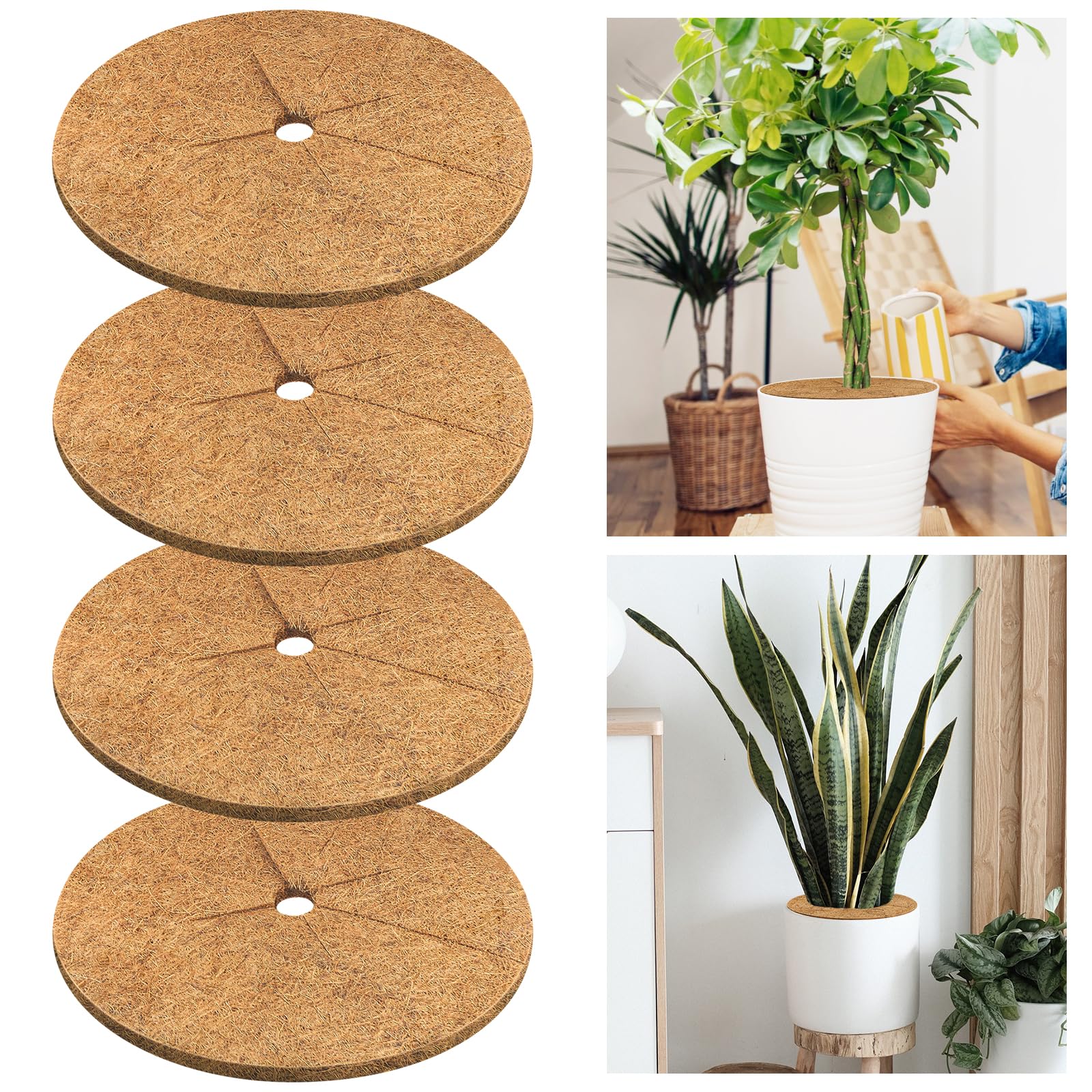 Photo 1 of Legigo 4pcs Coconut Fiber Mulch Ring Tree Plant Protector Mat, 18 Inch Natural Coco Coir Tree Protection Ring Plant Pot Soil Cover, Tree Rings Disc Plant Cover for Indoor Outdoor Plants,Landscaping