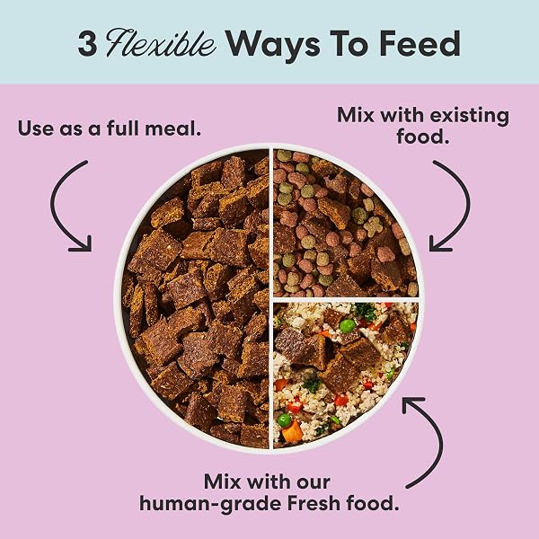 THE PETS TABLE BEEF & BERRIES GRAIN-FREE AIR DRIED DOG FOOD, 1 LB (16 OZ) BAG