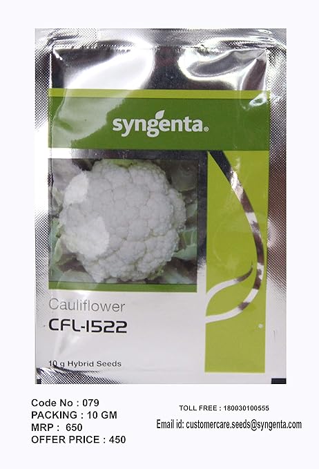 Syngenta Organic F1 Hybrid Cauliflower CFL-1522 High yielding Vegetable seeds