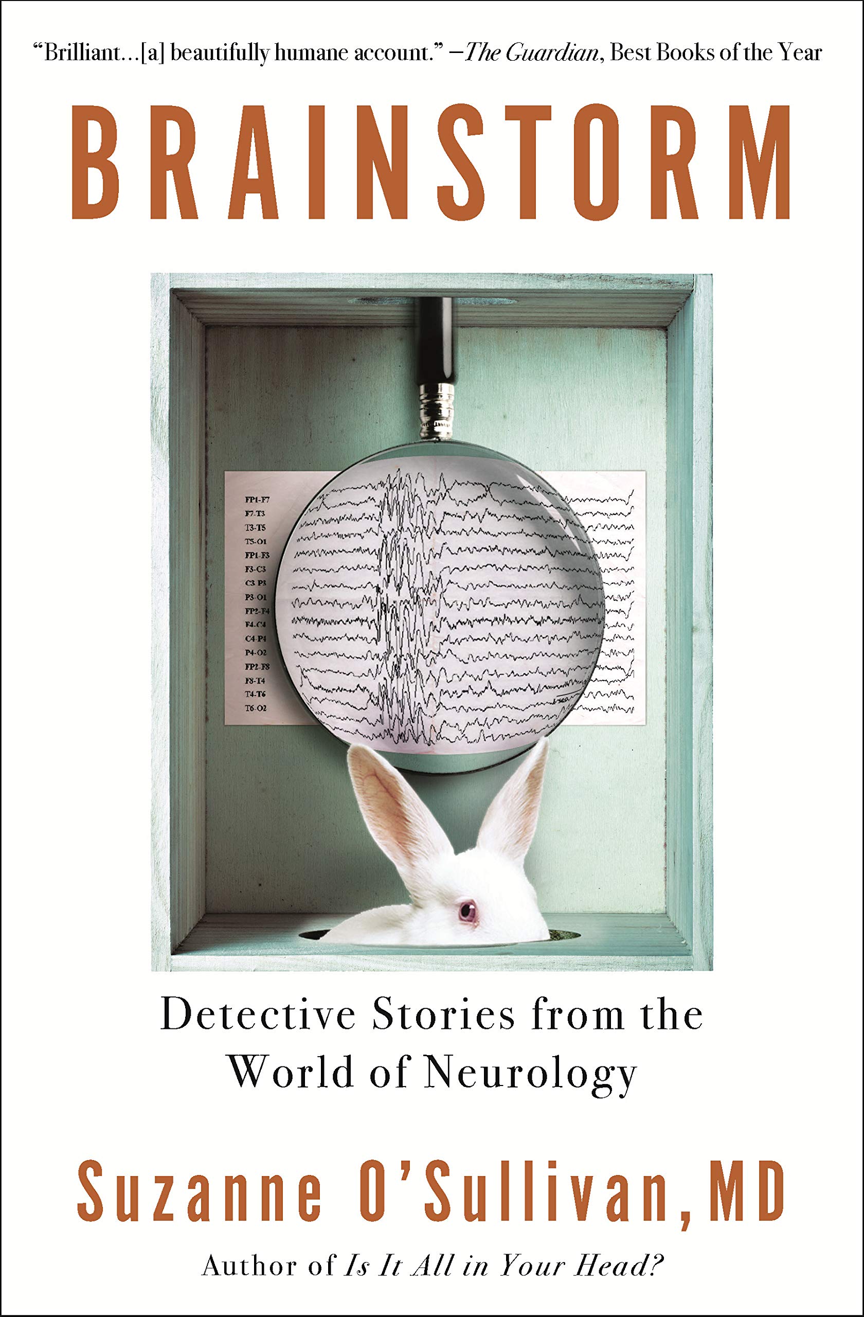 Brainstorm: Detective Stories from the World of