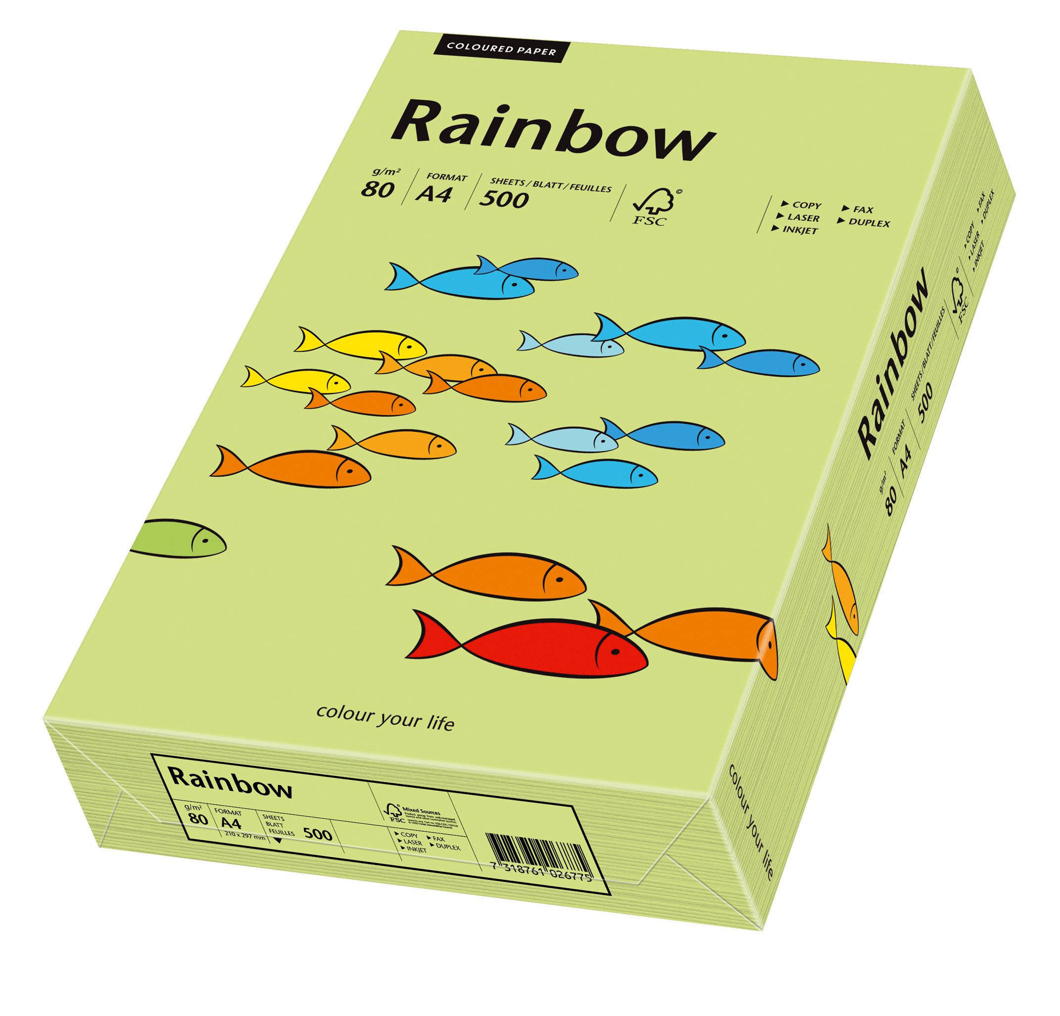 Schneidersöhne 88042607, Multi-Purpose Paper Rainbow, Coloured Paper, A4, 80 g/m2, 500 Sheets, Intensive Green