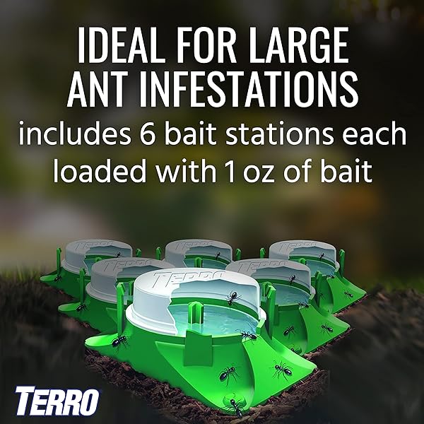 TERRO T1804SR OUTDOOR READY-TO-USE LIQUID ANT BAIT KILLER AND TRAP – KILLS COMMON HOUSEHOLD ANTS – 8 BAIT STATIONS