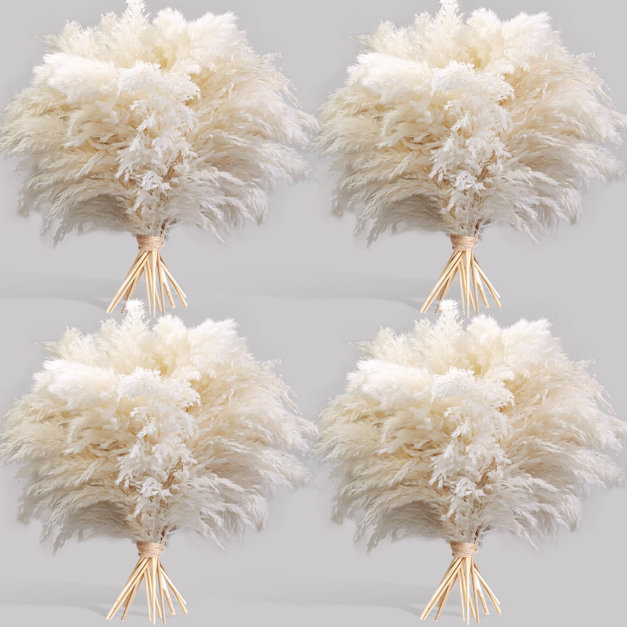 Photo 1 of 40PCS White Pampas Grass for Home Decor - Elegant Boho Decor - Premium Quality Pampas Grass Stems - Perfect for House, Nursery, Western, Wedding, Table, and Bohemian Decor