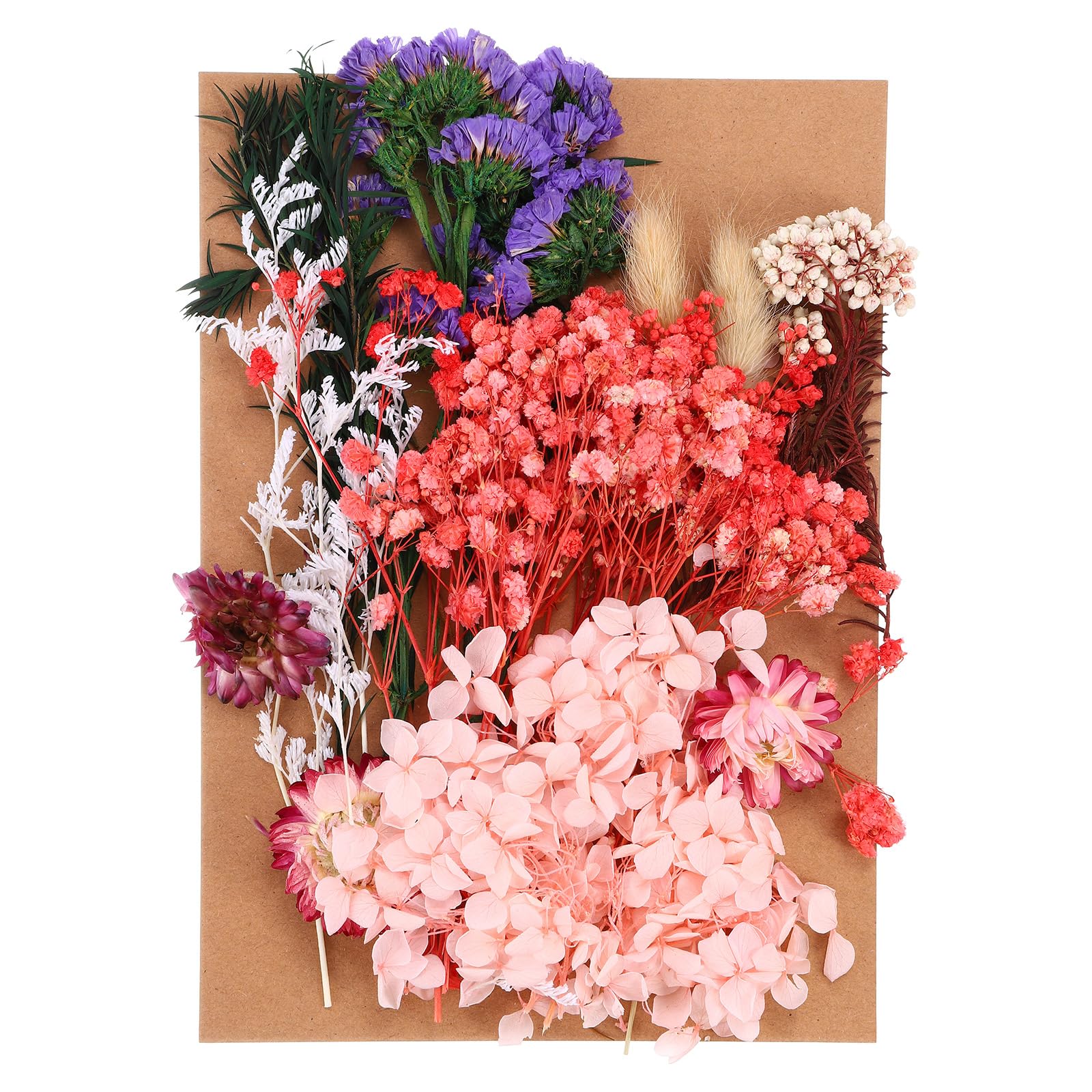 PATIKIL Pressed Flowers for Craft, Bulk Dried Flowers Natural Pressed Flowers Leaves for Resin Soap Candle Scrapbooking DIY Gift Papermaking, Multicolor