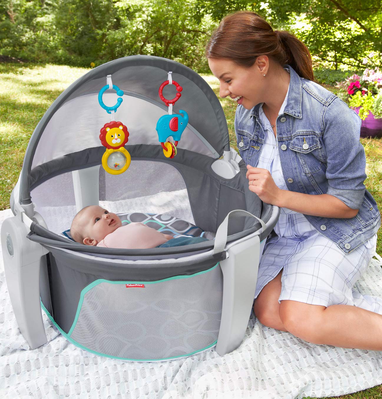 fisher price on the go baby dome
