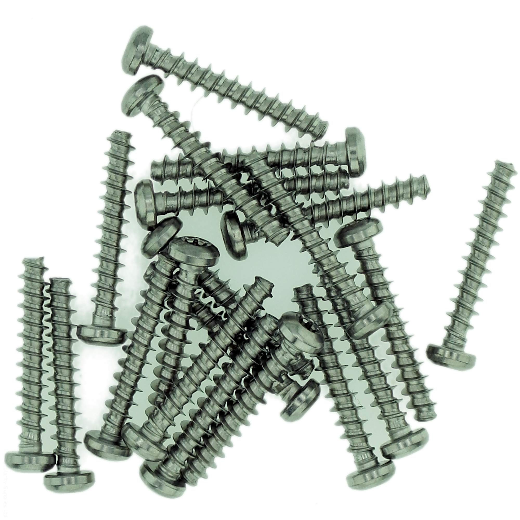 D4 (4mm x 16mm) TX Pan Screws for Plastic - Stainless Steel (A2) (Pack of 20)