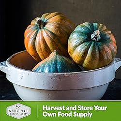 Table King Acorn Squash Seed for Planting - 5