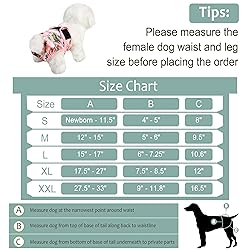 Female Dog Diapers - Premium Reusable Diapers for