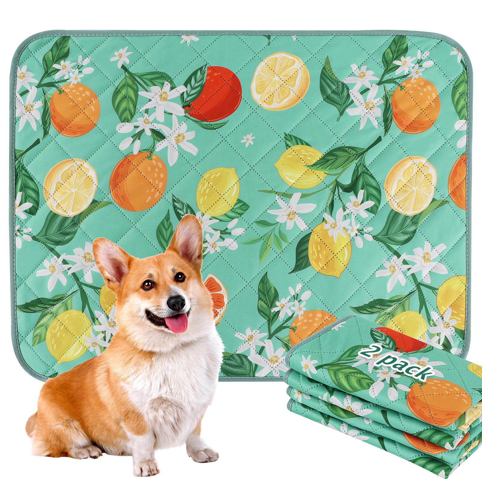 Photo 1 of BVAGSS Washable Pee Pads for Dogs, 2 Pack Reusable Leakproof Puppy Wee Wee Pad, Non-Slip Waterproof Pet Training Pads, Super Absorbent Whelping Pads XH081 (Green Lemon, 36X41 Inch (Pack of 2))