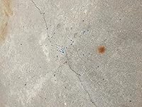 Review Image by Jacob T. Collins Jacob T. Collins