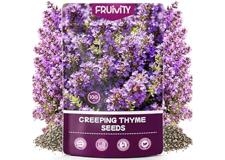 Fruivity 20000+pcs Creeping Thyme Seeds for Planting, Non-GMO Perennial Ground Cover Plants Heirloom Flowers…