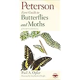 Peterson First Guide To Butterflies And Moths