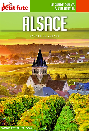 Download ALSACE 2018 Carnet Petit Futé (Carnet de voyage) PDF