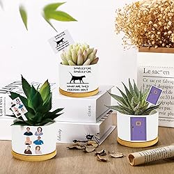Funny TV Show Planter Pots,TV Show Merchandis Gifts