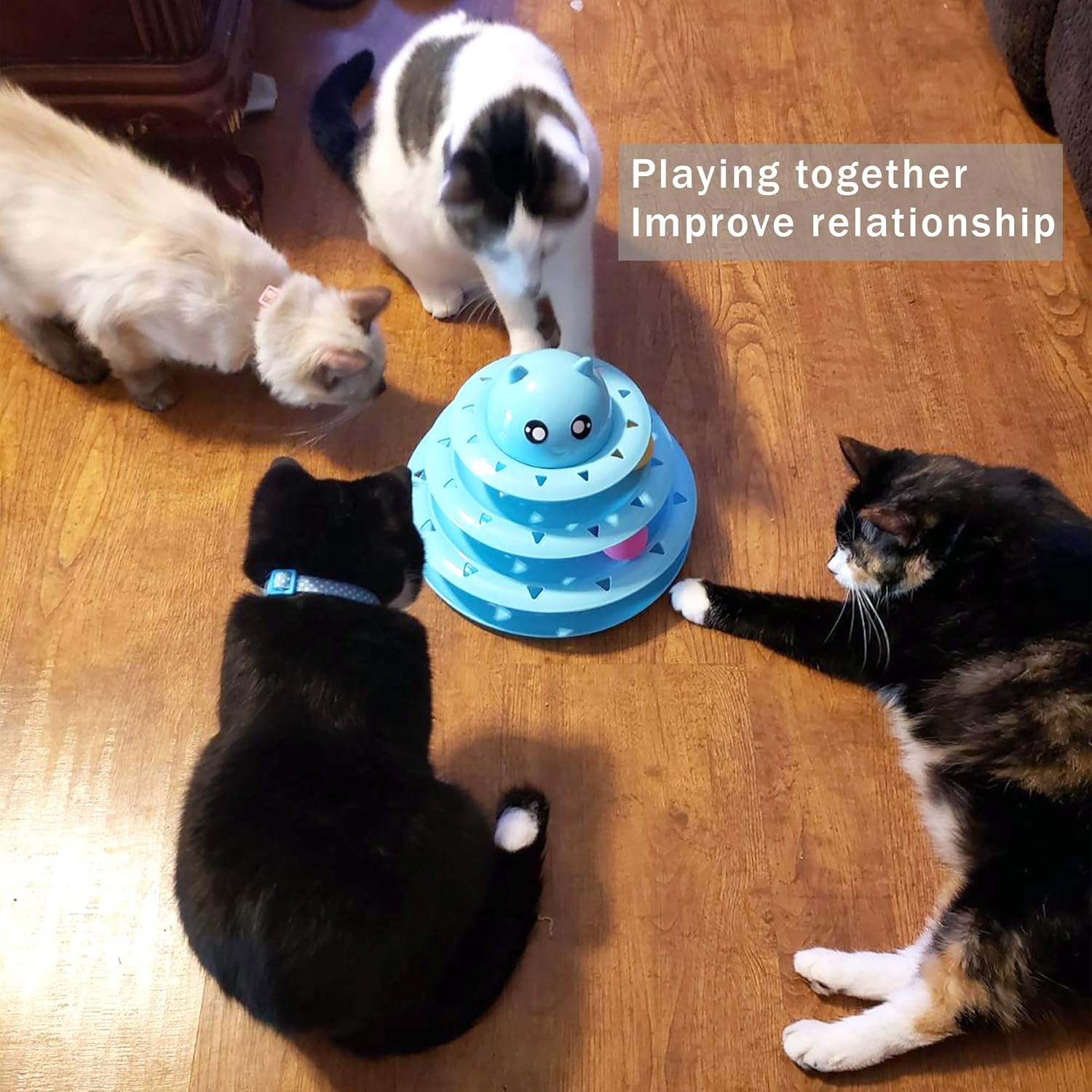Cat Toy Roller Cat Toys 3 Level Towers Tracks Roller with Six Colorful Ball Interactive Kitten Fun Mental Physical Exercise Puzzle Toys : Kitchen & Dining