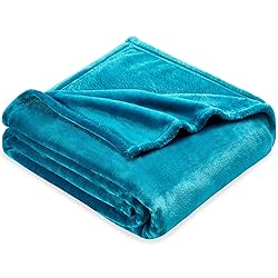 DREAMNINE Large Soft Fuzzy Flannel Fleece Throw