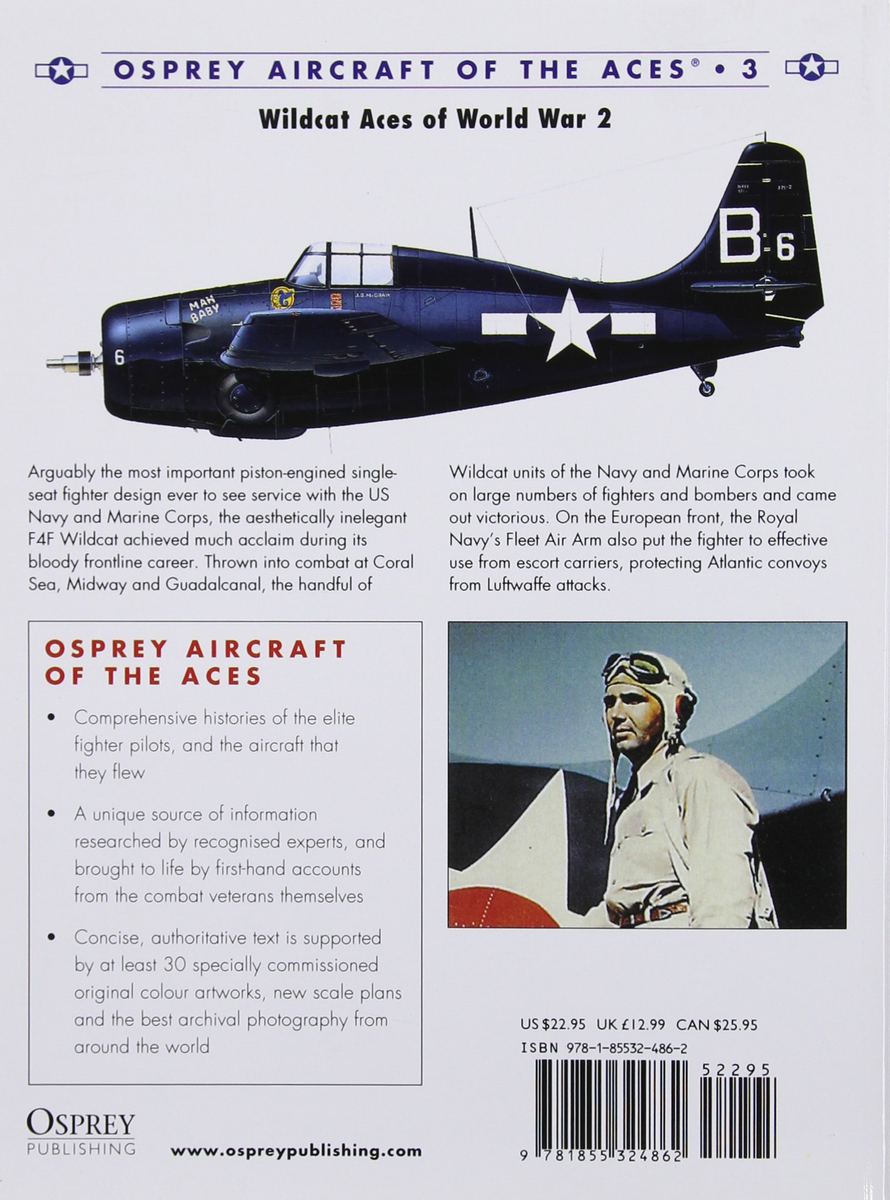 Wildcat Aces Of World War 2 Aircraft Of The Aces Tillman Barrett Davey Chris Amazon Com Books