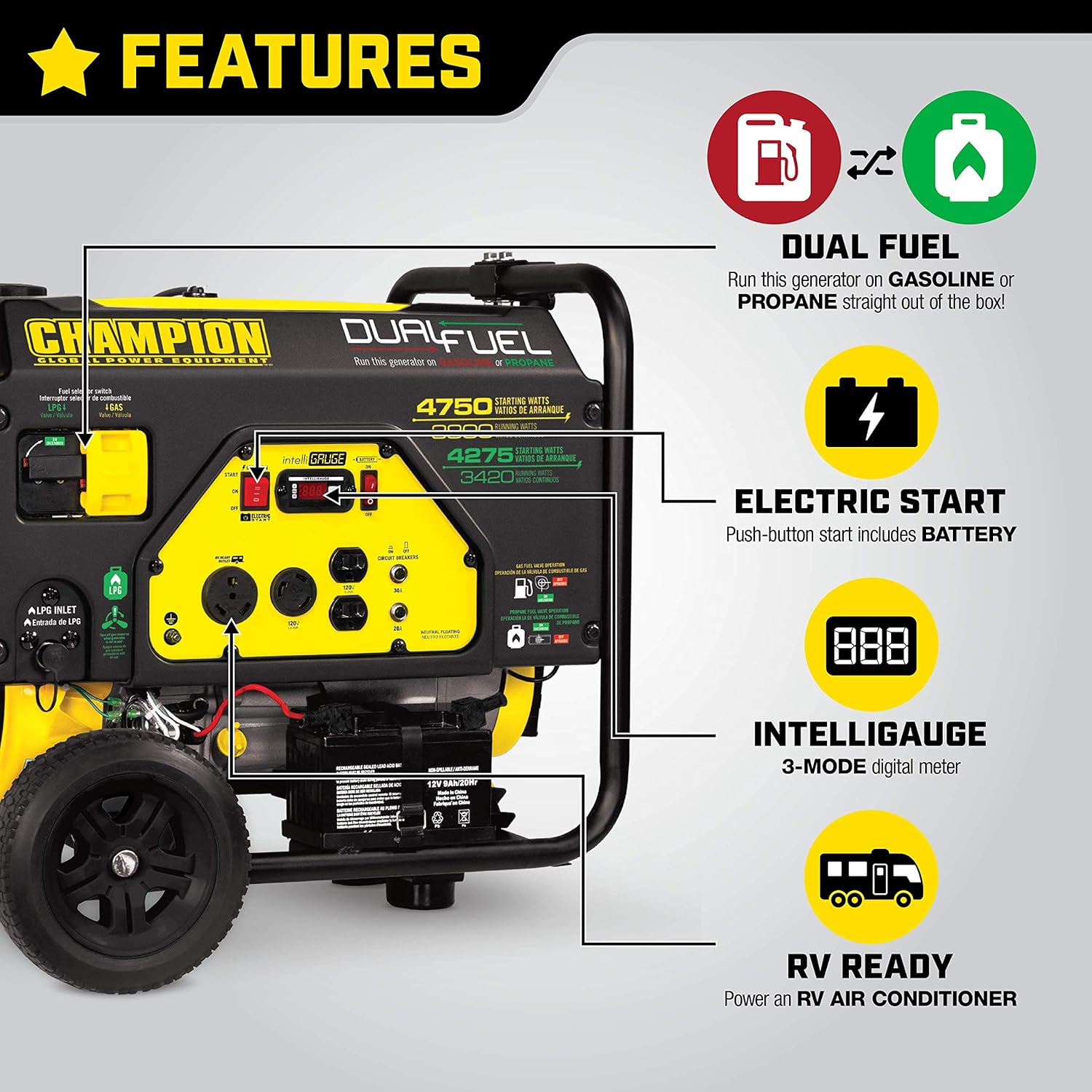Champion Power Equipment 76533 4750/3800-Watt Dual Fuel RV Ready Portable Generator with Electric Start : Garden & Outdoor