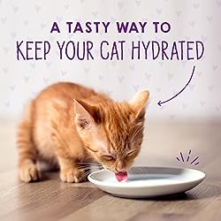 Stella & Chewy's Carnivore Cravings Purrfect Pate