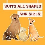Pawtato Spinach Kale Vegan Dog Sticks 120g Hypoallergenic Low Fat view 7