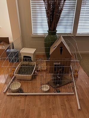 clear dog cage